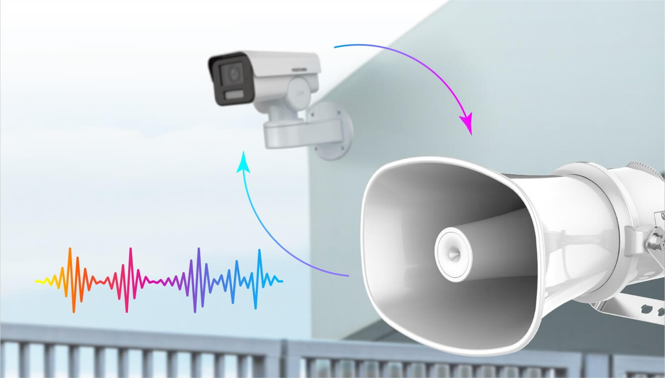 Professional Audio Visual